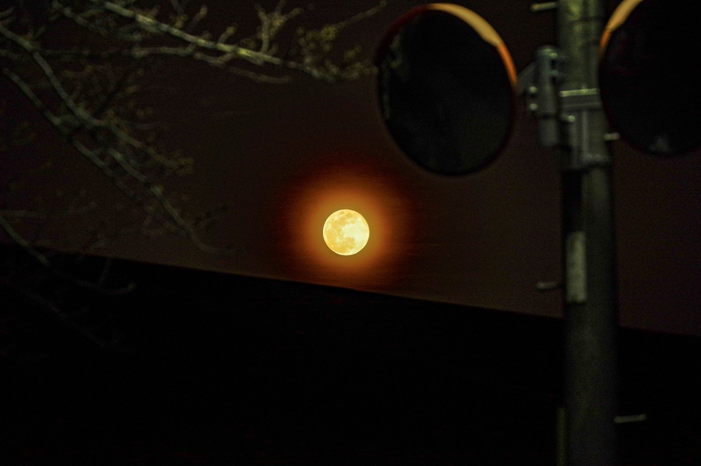 うさぎの餅つき