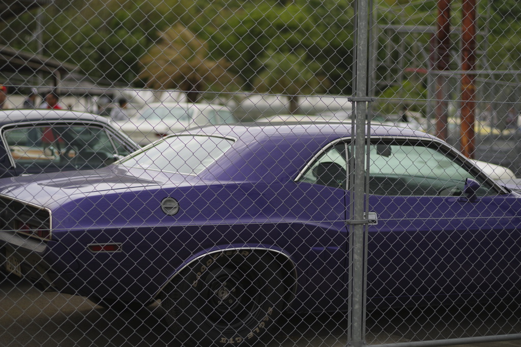 fence