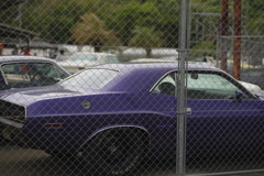fence