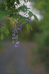 わたしをとって