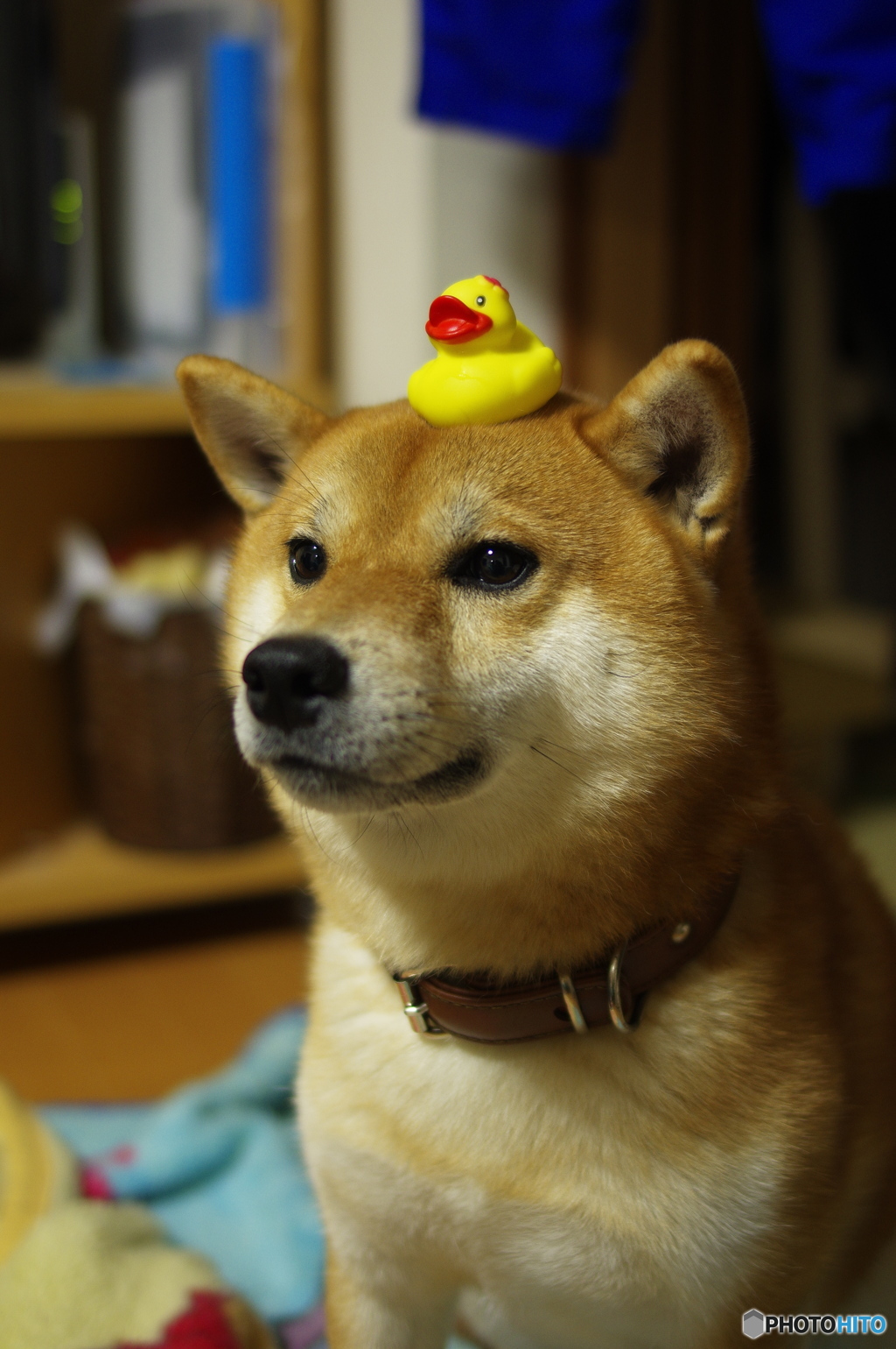 すごーく迷惑