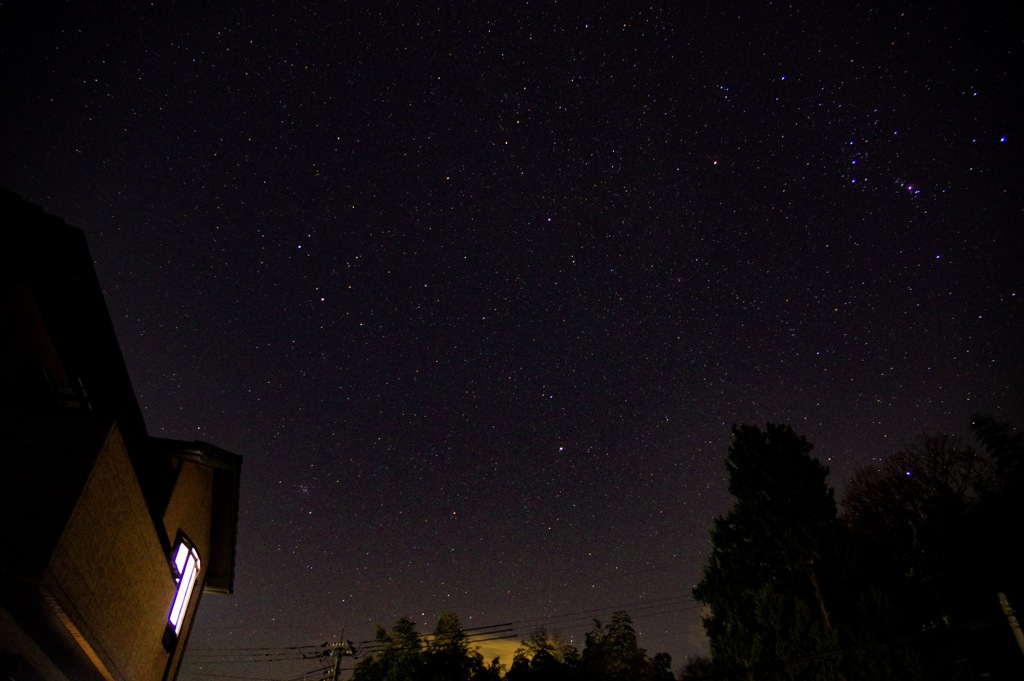 １つも見れなかった