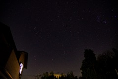 1つも見れなかった