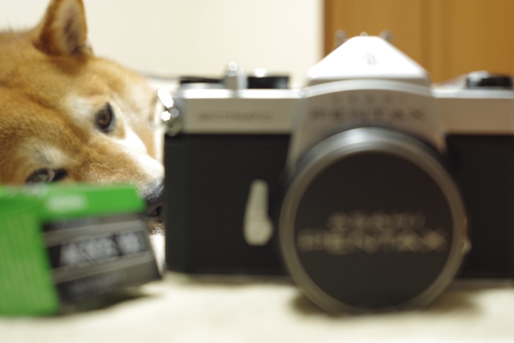 呆れ顔