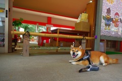 冷んやり