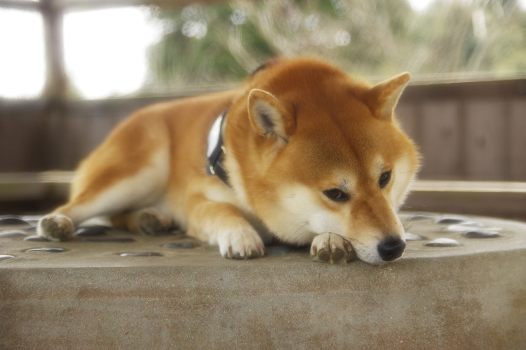 あ〜疲れた