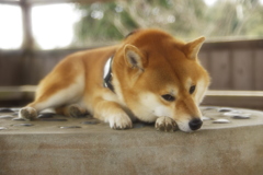 あ〜疲れた