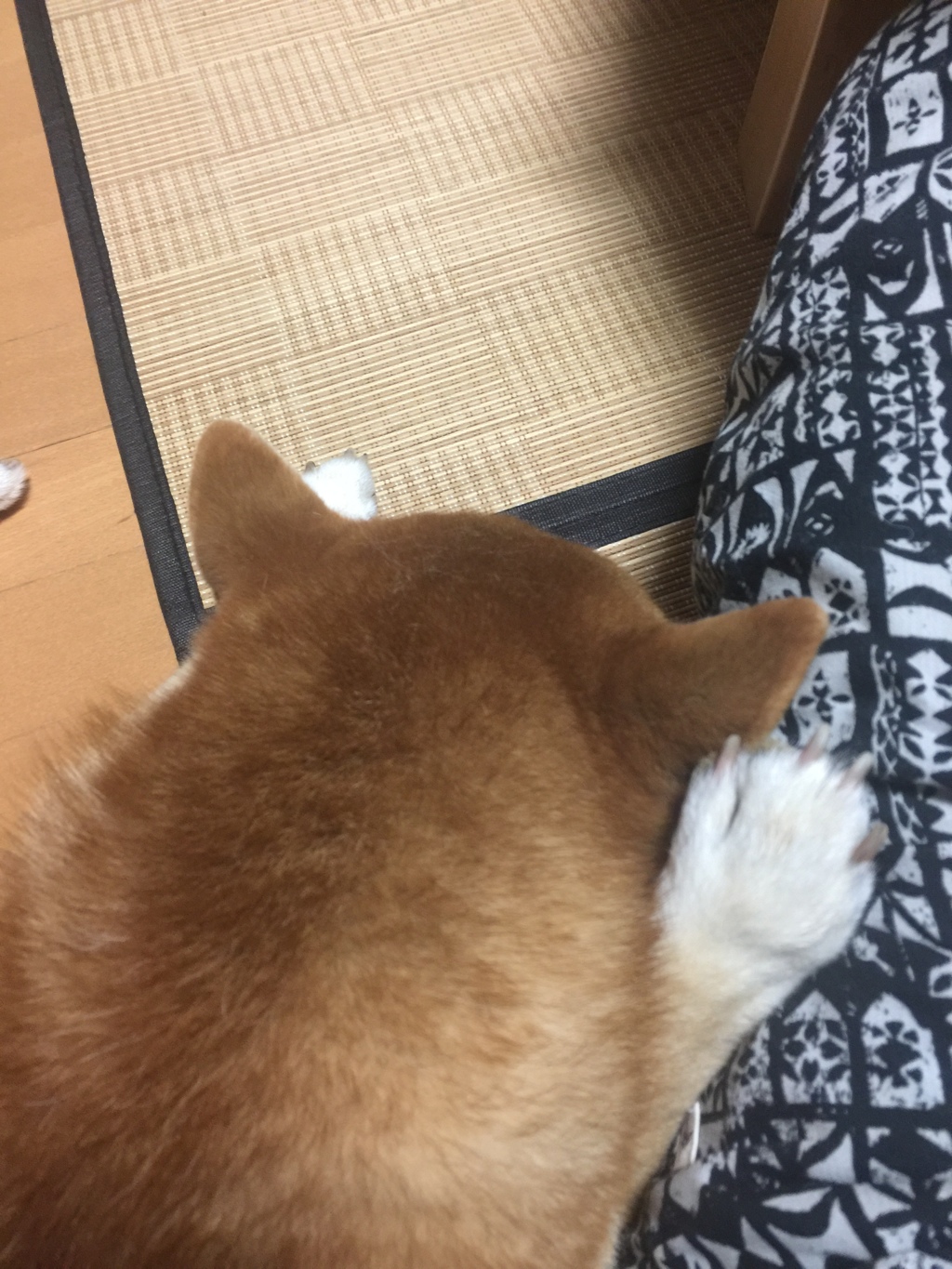 なんですか？