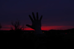 未来は僕らの手の中