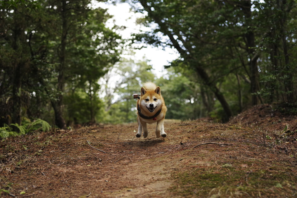 よぅ、相棒