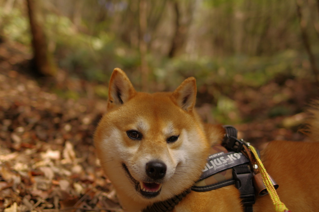 ついてこれるかな？