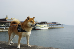 海のある風景