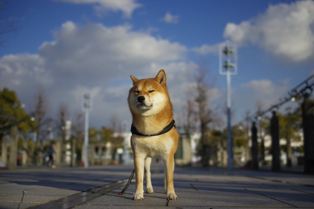う〜さぶっ…