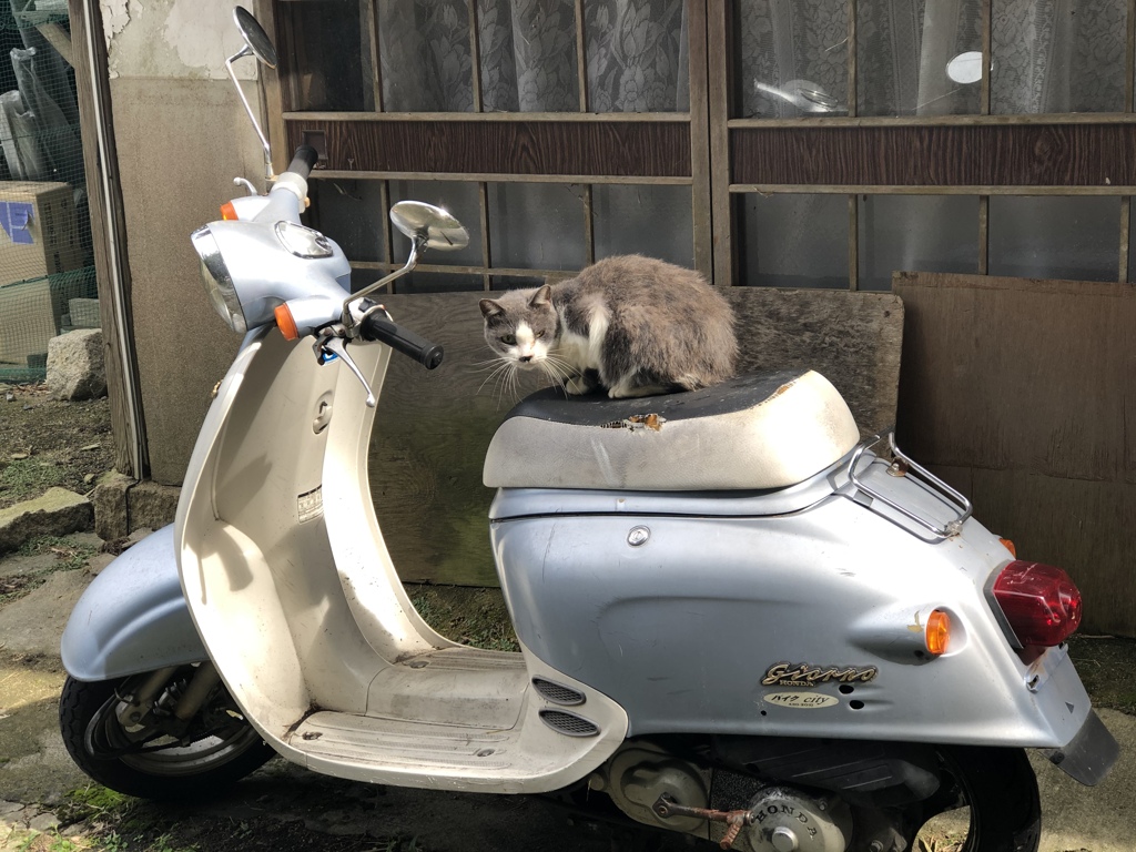 盗んだバイクで