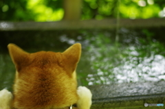 なにがあるのかな?