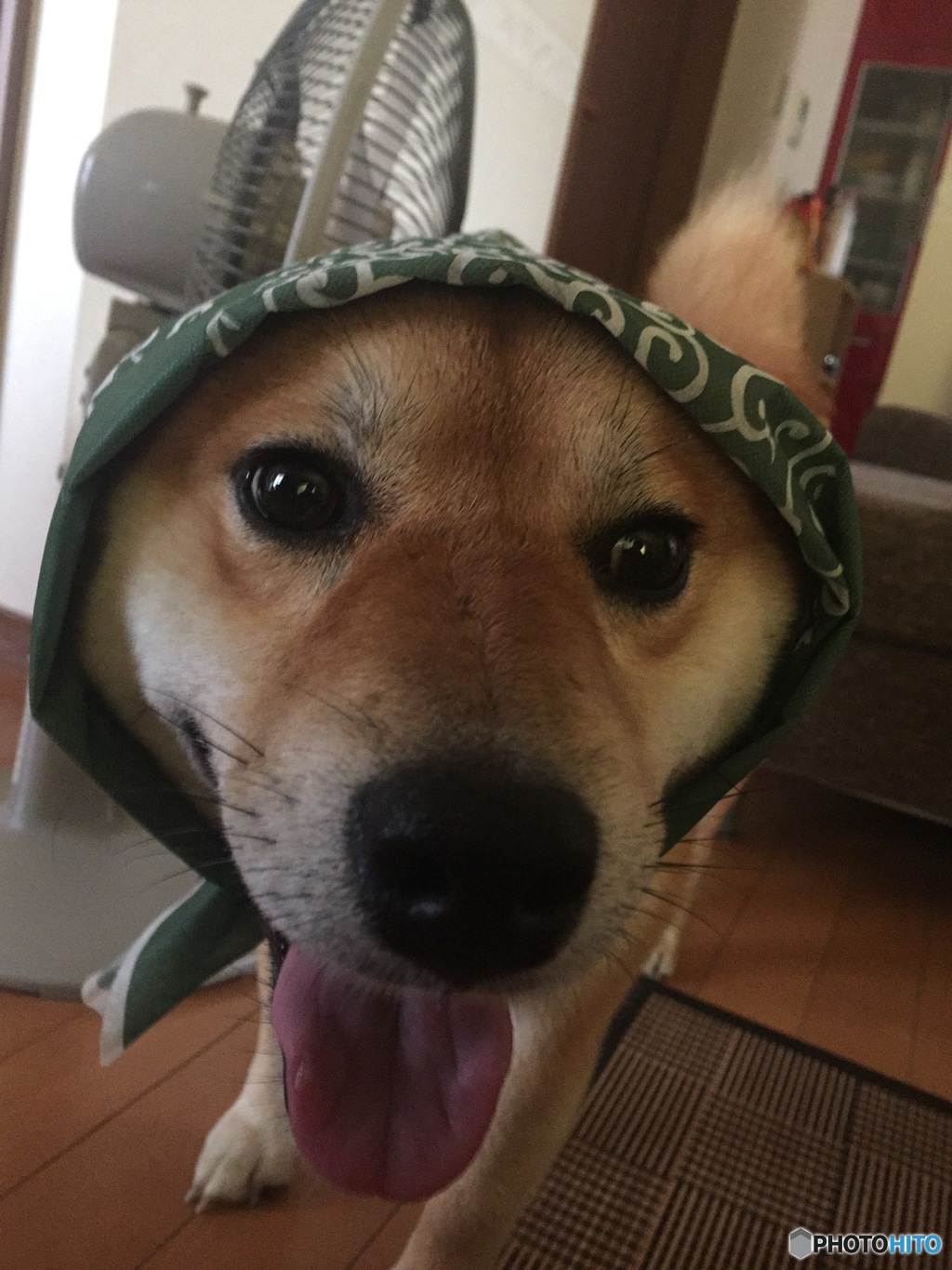 かわいいドロボウさん