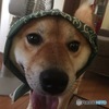かわいいドロボウさん