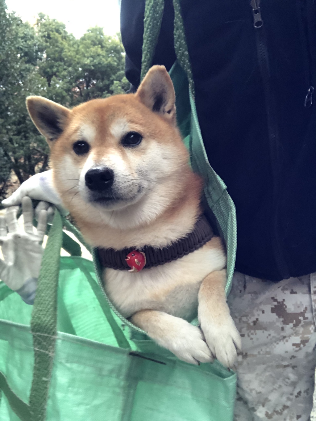 落ち葉を捨てた帰り道