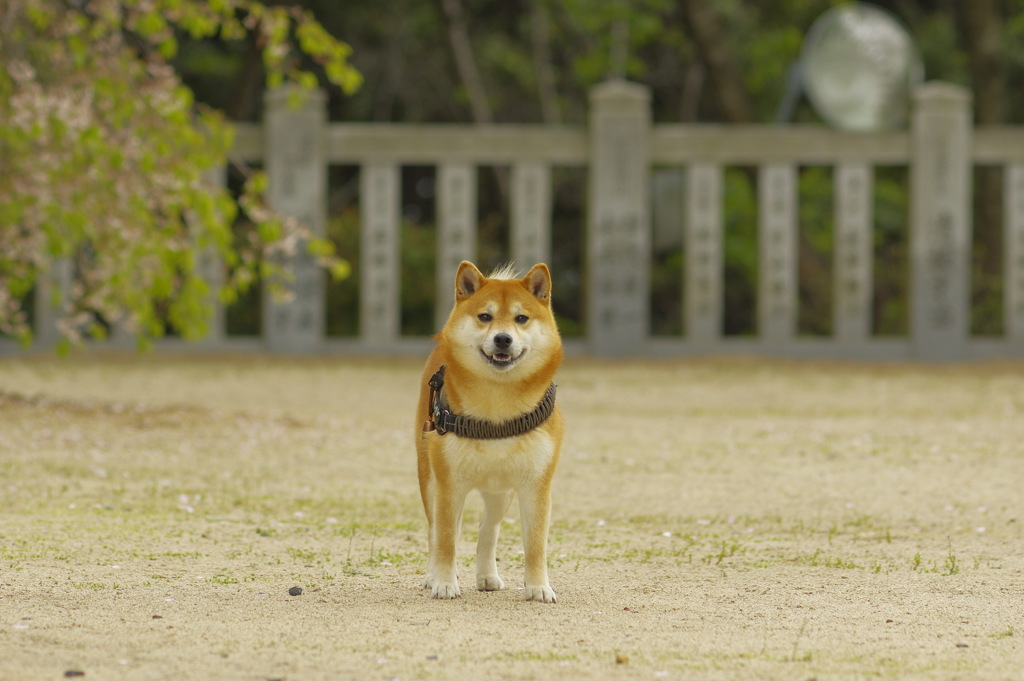 ポツン…