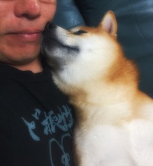 暑いのか お熱いのか