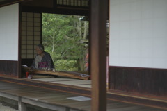 雨のお出かけ