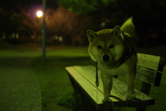 春の香りがする公園で