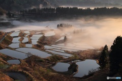 雲海の棚田