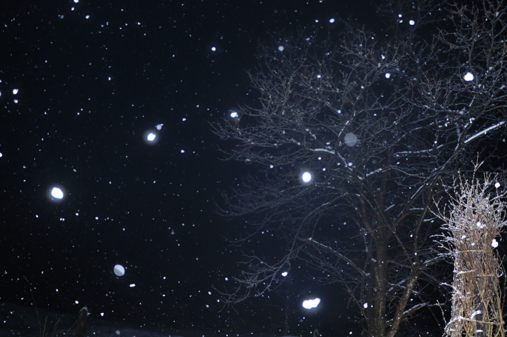 星が降る夜