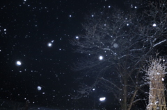 星が降る夜