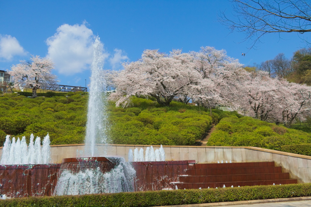 西山公園