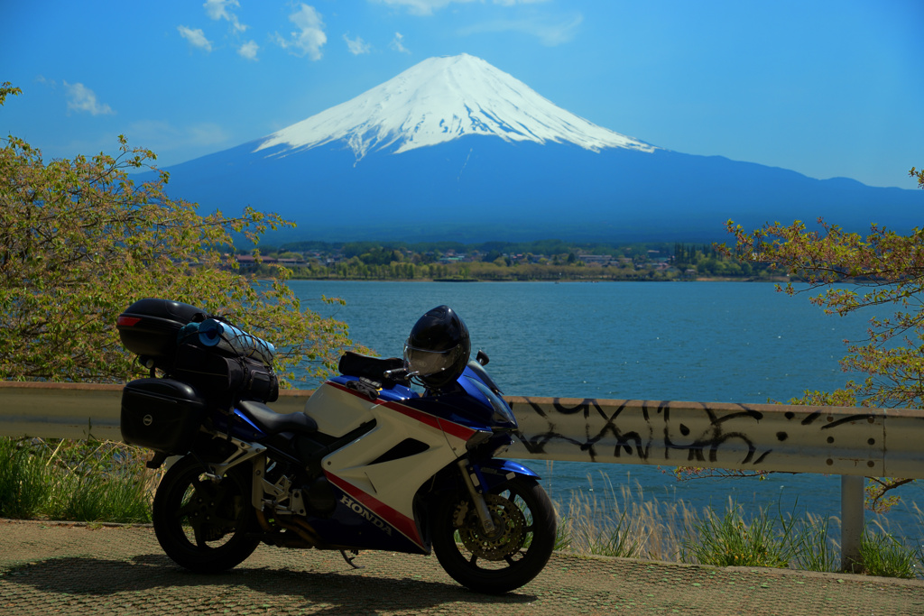 HONDA　VFR　interceptor