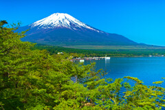 富士山