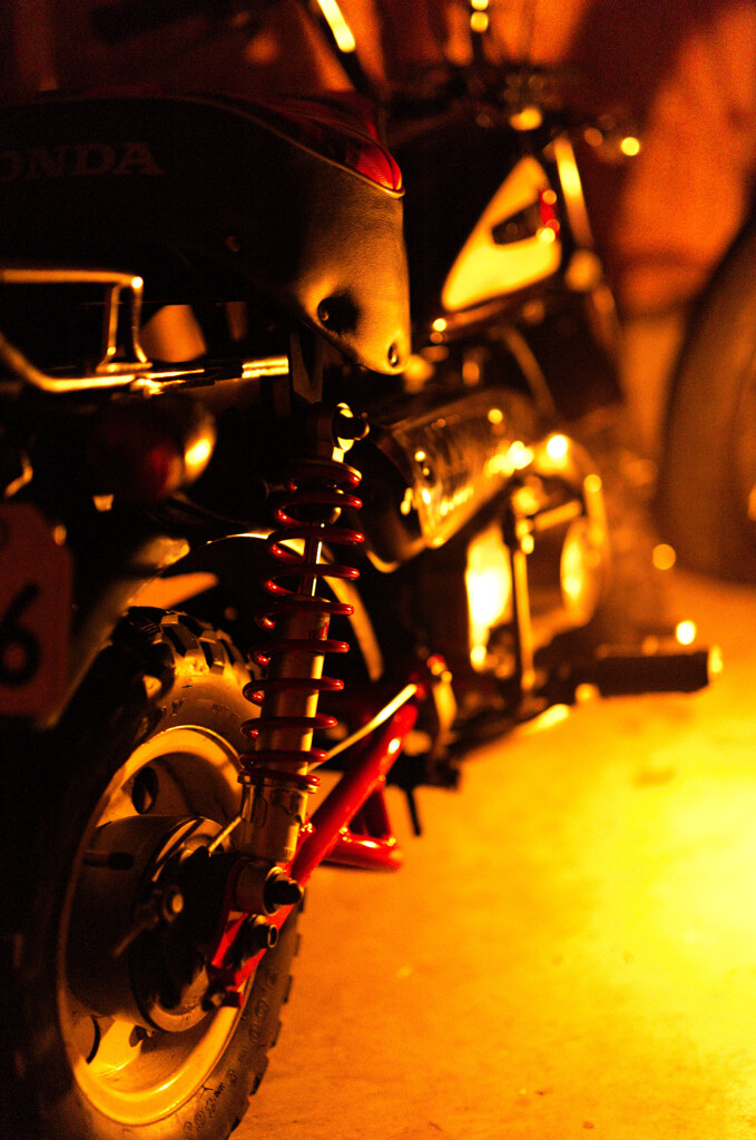 バーナーを酸欠気味にした明かりで撮ったモンキー