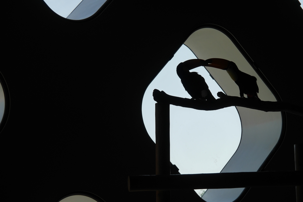 Silhouette