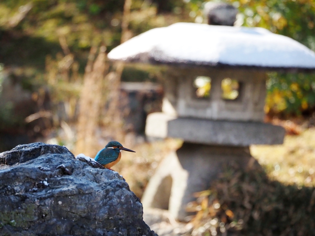 ほんのり雪景色