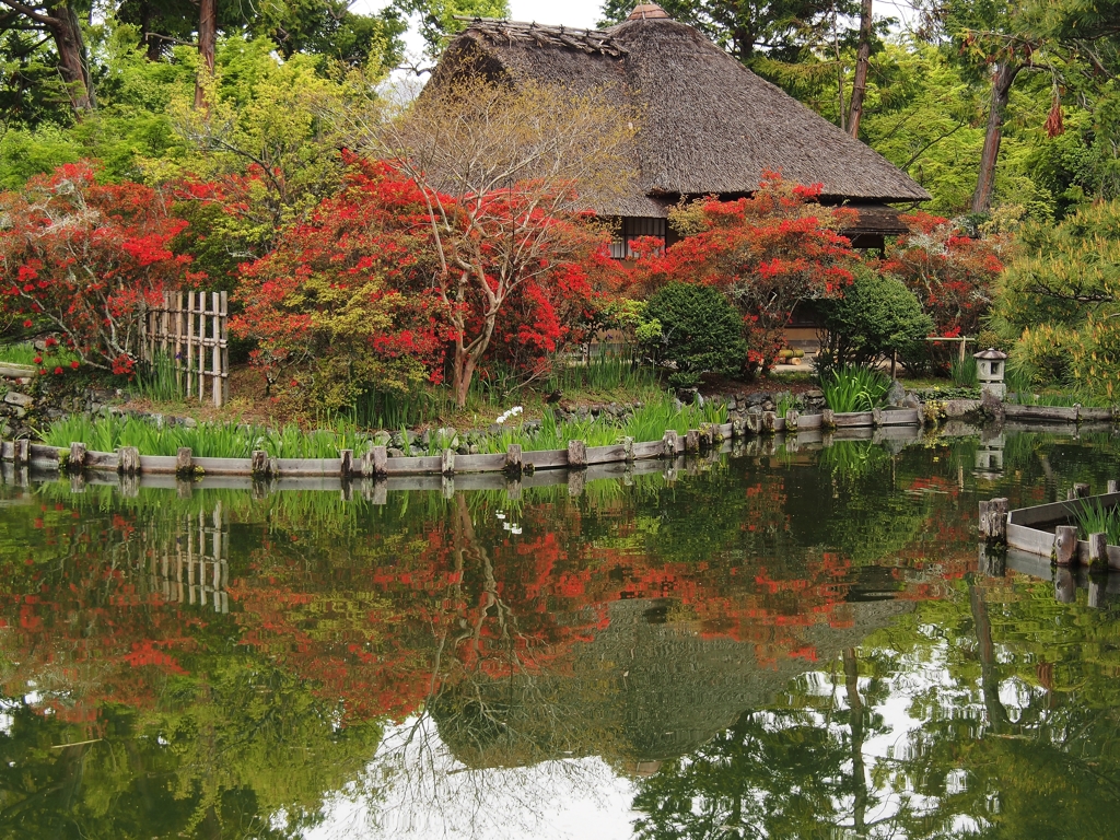 梅宮大社