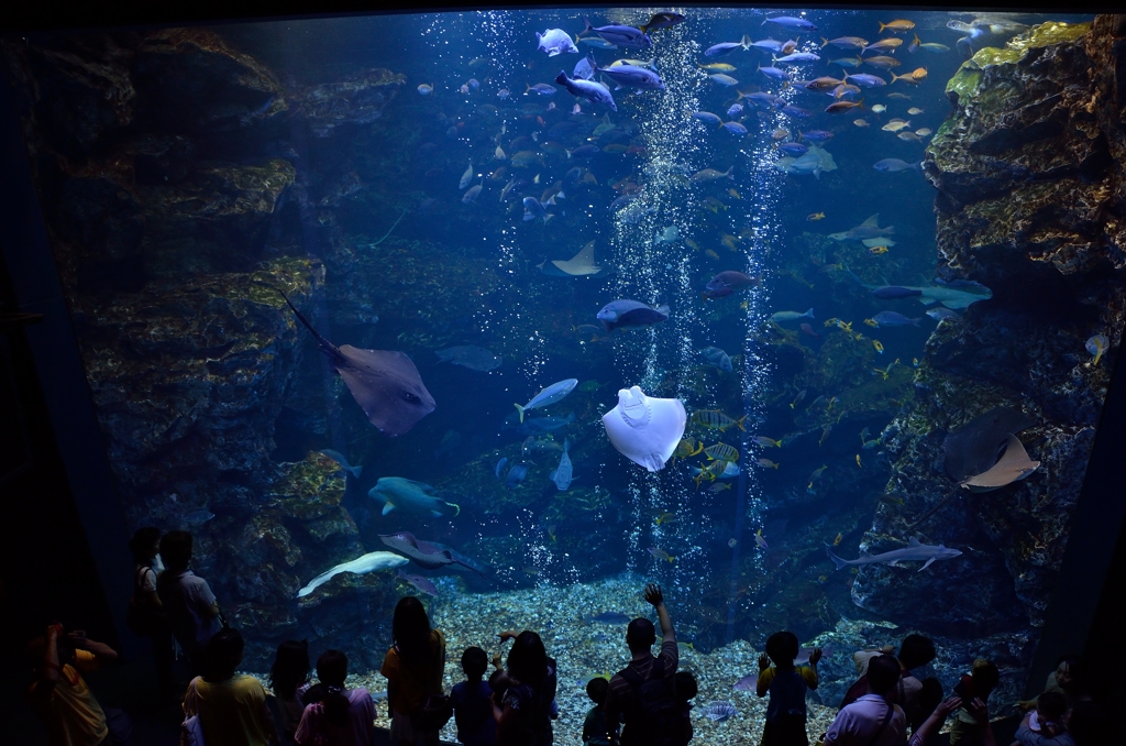 京都水族館