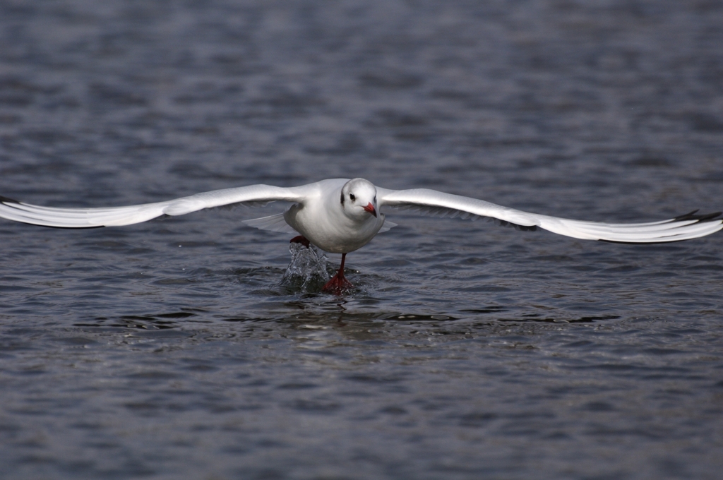 Take-off