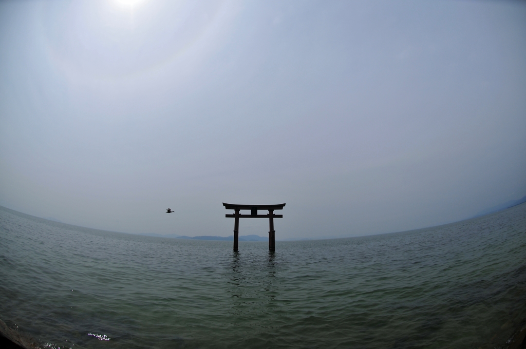 白髭神社