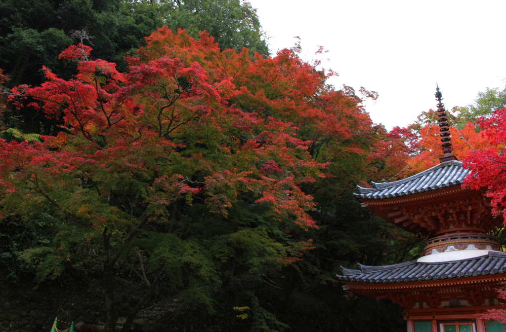 大威徳寺
