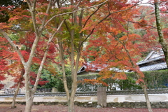 興聖寺周辺風景