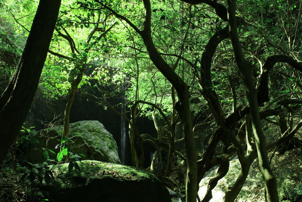 奥山の泉水