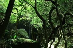 奥山の泉水