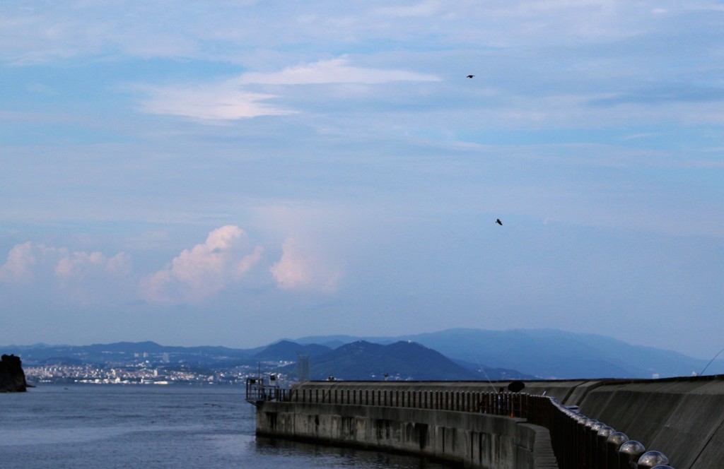 ﾌﾞﾙｰの淡路島