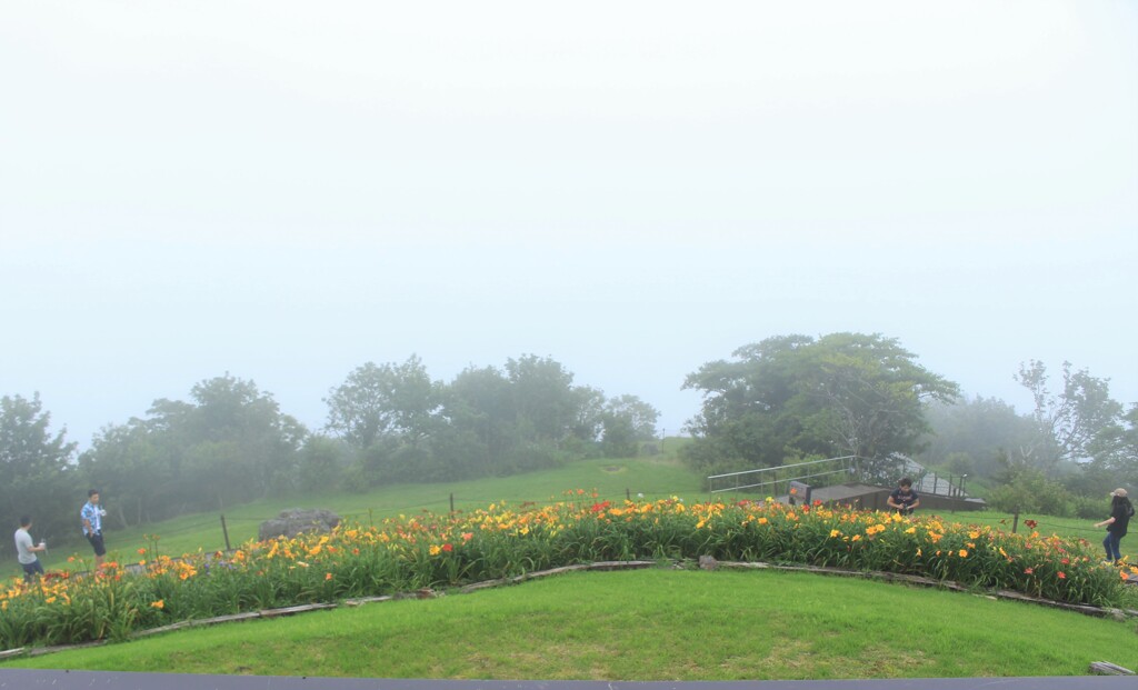 テラスからの眺め