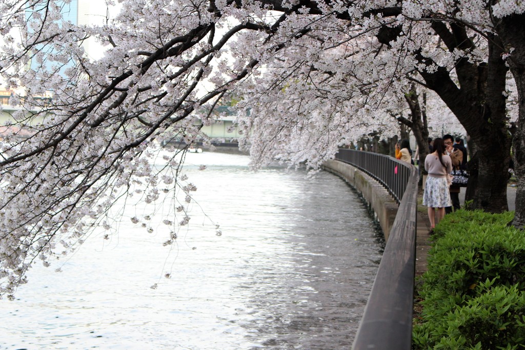 桜の宮公園にて