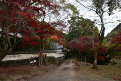 静寂