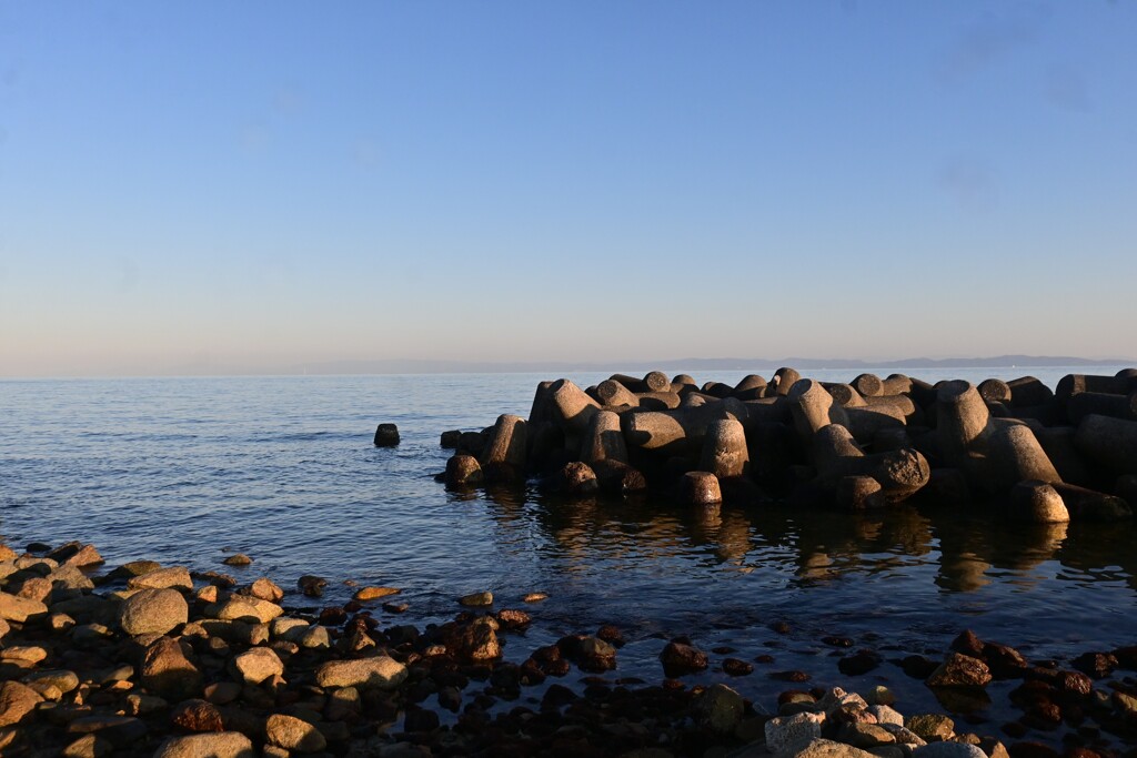 冬の海
