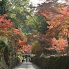 紅葉のトンネル