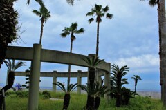 休日の海浜公園